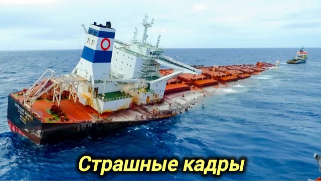 03-11-2025. ЧП. КАТАКЛИЗМЫ. КАТАСТРОФЫ, ПРОИСШЕСТВИЯ ЗА ДЕНЬ.               новости дня.