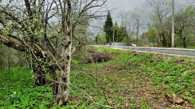 Весна. Сыро.