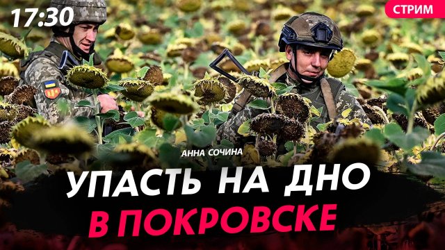 Упасть на дно в Покровске [Анна Сочина. СТРИМ]