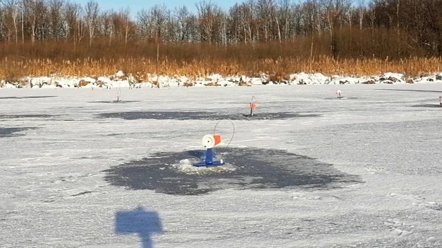 РОТАН ЗАЖИГАЕТ СРАЗУ ПО 3 ЖЕРЛИЦЫ! С ТАКОЙ РЫБАЛКОЙ И ЩУК НЕ НАДО