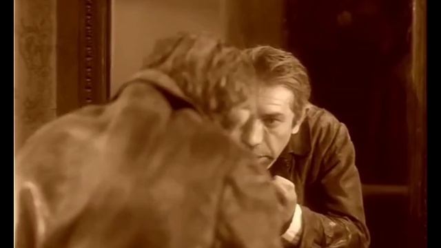 Вчера котов душили душили... Собачье сердце