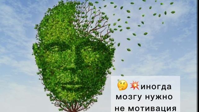 Что нужно мозгу?