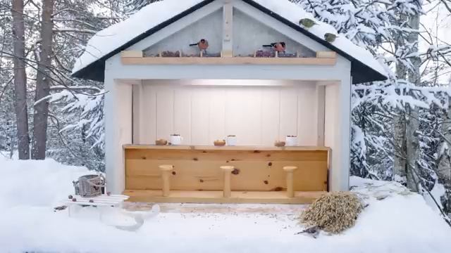 Зимний ореховый бар - Отдохните с белками и птицами