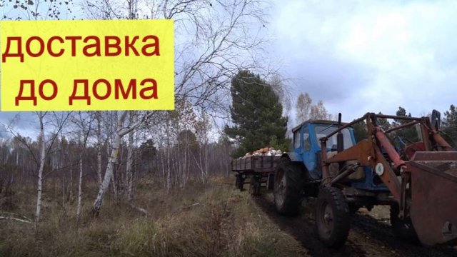 Дрова поехали до дома. Заготовка дров2025.