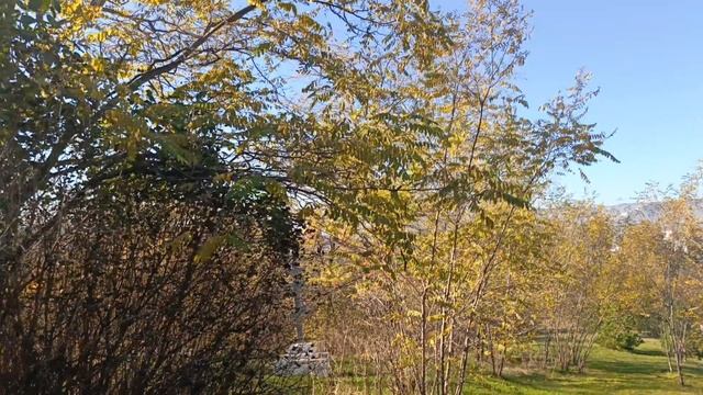 Погода в Кисловодске сегодня, 3 ноября 2025🌞