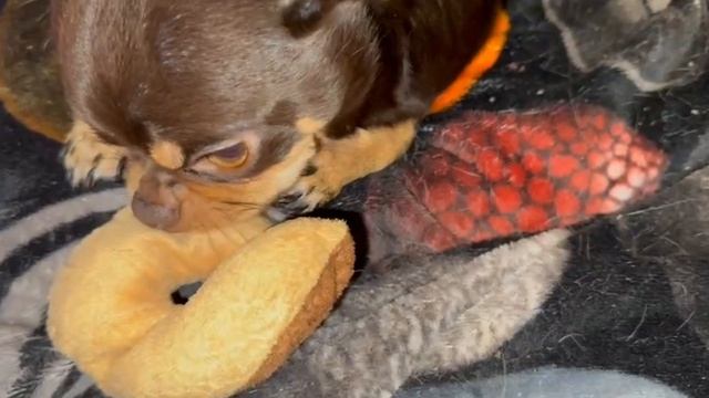 Всем самой доброй ночи и прекрасных, добрых снов.