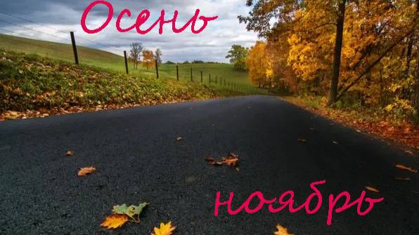 6 соток. 2 ноября 2025 г. Ноябрь это уже сон земли