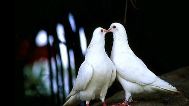 Я читаю ваши мысли. Часть 4 Читаем книгу Лиллиан Гласс