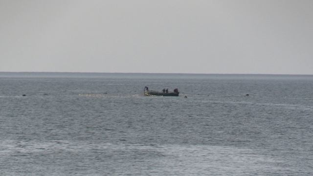 Ноябрьский день на берегу моря в Сочи