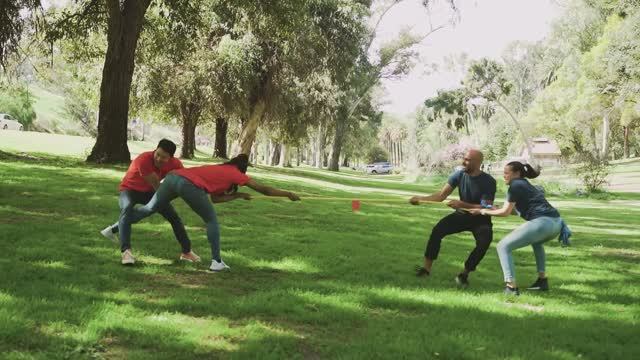 Сиречь - Destiny's Canvas