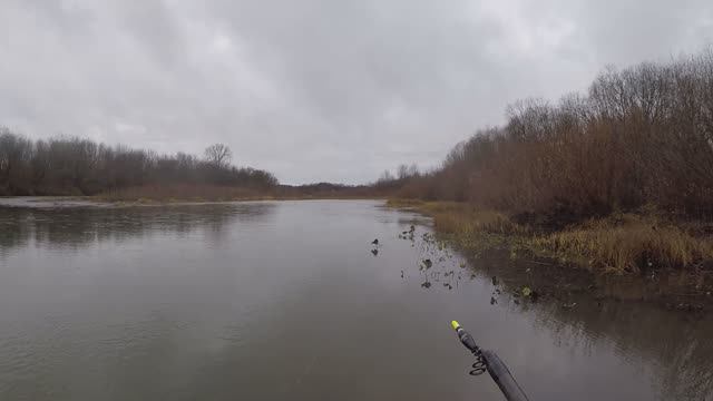 Поход на лесную речку.