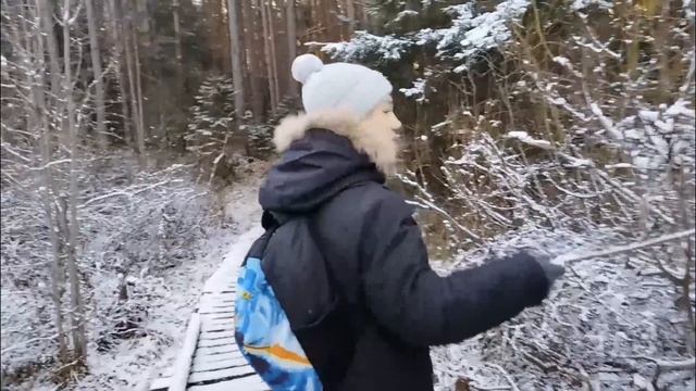 Идём в лес 🌲 Гуляем, наши выходные