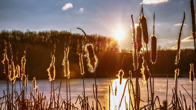 Доброго утра! Замечательного дня! Красивая музыкальная открытка с добрым утром!