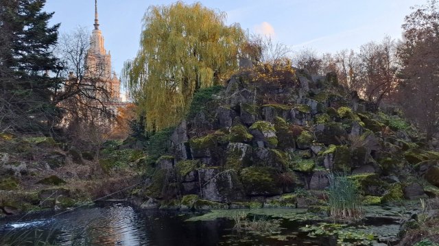 Орнитологическая экскурсия в БС МГУ (фрагменты), 02 ноября 2025