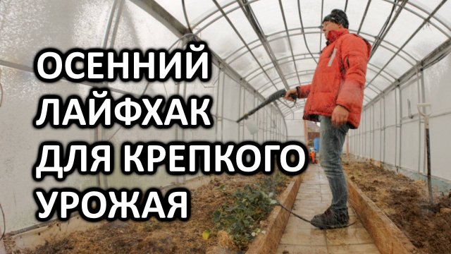 Как я наконец помыл теплицу: осенняя уборка и профилактика вредителей