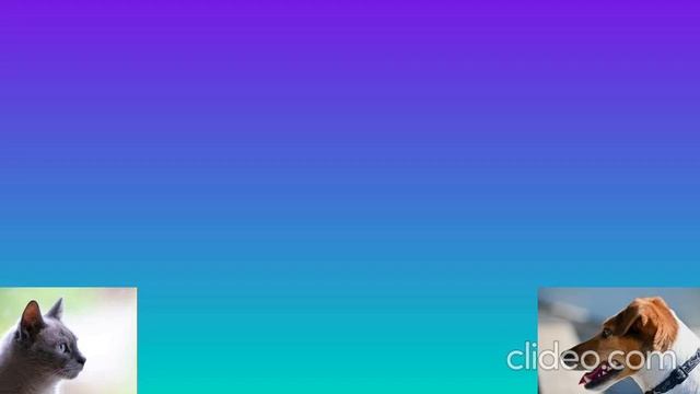 пёс и киска 34 серия