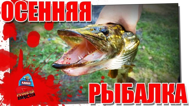 ✔ Рыбалка осенью с друзьями на спиннинг в Тверской области. Рыбалка на малых реках в Тверской глуши.