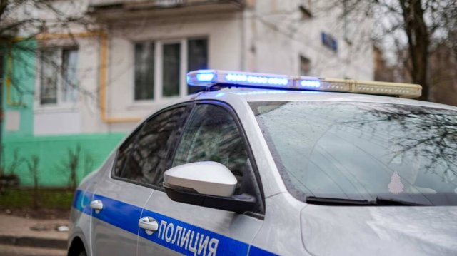 Женщина подстрелила из пневматики девочку, распугивая бездомных собак