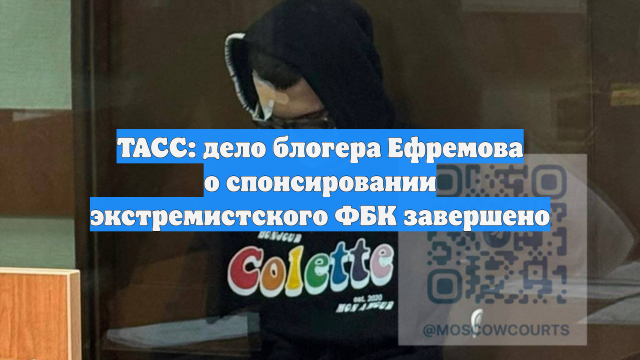 ТАСС: дело блогера Ефремова о спонсировании экстремистского ФБК завершено