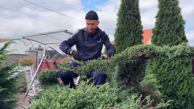 Мастер топиара в деле🌳🕺