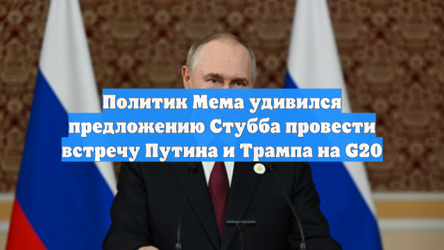 Политик Мема удивился предложению Стубба провести встречу Путина и Трампа на G20