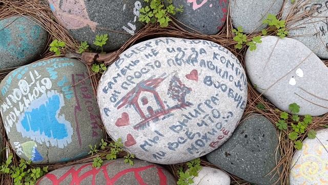 19)На зиму в Абхазию -4. Поездка в Пицунду и ночной костер