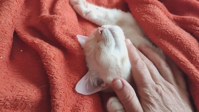 Прогулка на Вайлдберриз. Всем нужна ласка и внимание. Дневник за 4 ноября 2025 год