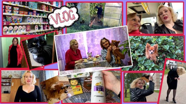 VLOG: ПОЕЗДКА В РУДНЮ//САМАЯ СЛАДКАЯ КЛУБНИЧКА🍓 // В ПОИСКАХ КРАСКИ ДЛЯ ВОЛОС// ЧАЕПИТИЕ С МАМОЙ☕