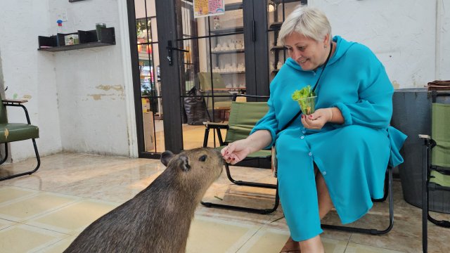 Вьетнам. Нячанг. 30.10.2025