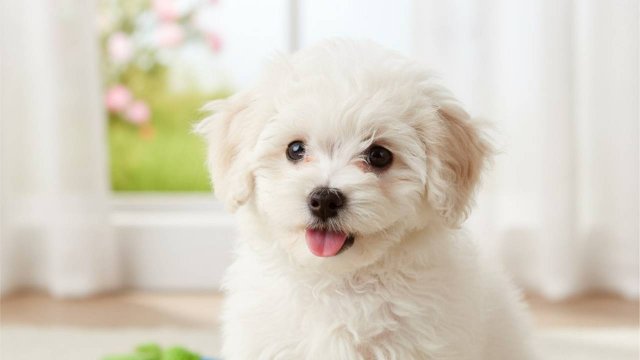 прохождение half life 2 2 часть (до сих пор с модами)