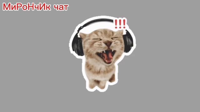 МиРоНчИк чат видео шортсы от блогеров а самое главное мои ролики там выходя. раньше МиРоНчИк чат