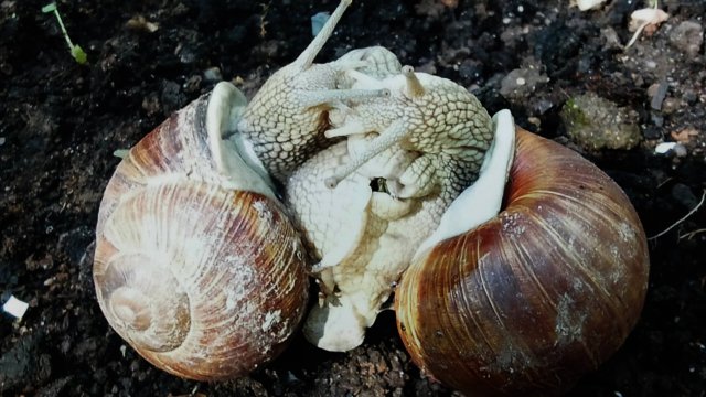 Работа жюри с выставкой о туризме