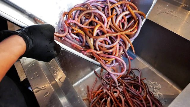 КРАСНЫЕ ГРЯЗЕВЫЕ ЧЕРВИ Вьетнамская уличная еда