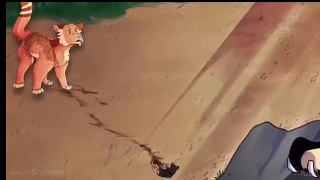 Коты воители мап Кленовница