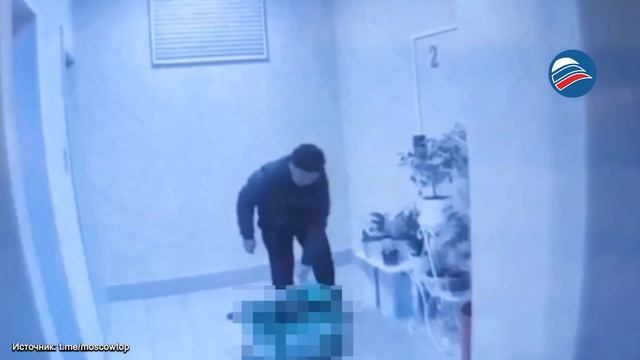 Пришёл с доставкой — ушёл с цветком