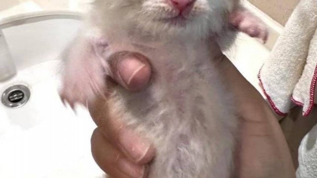 7 - ыфвфывфывф