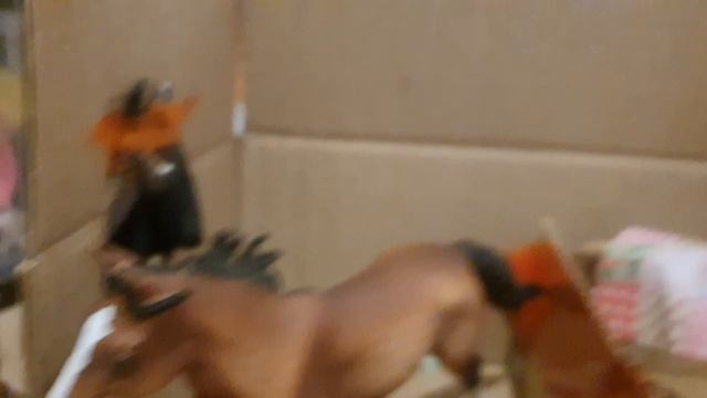 лошади шляйх 24 часа в студии