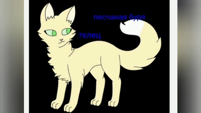 Какой ты кот по котам воителям по знаку задиака? 🐱🐈🐈⬛🦁🐯🐅🐆