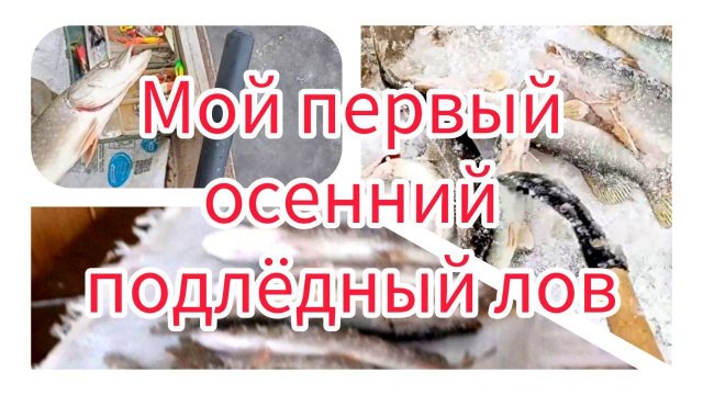 Мой первый осенний подлёдный лов