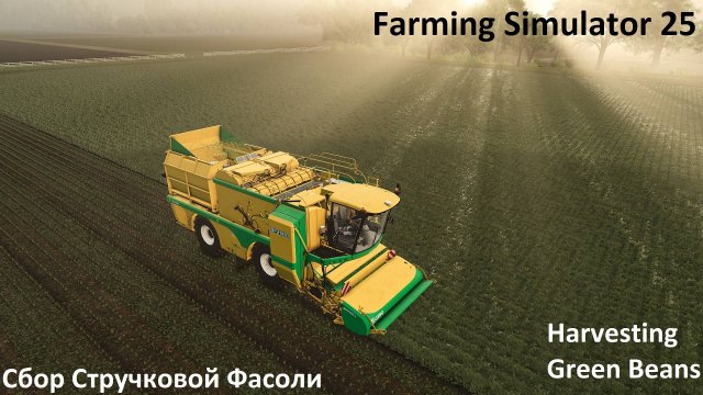 Farming Simulator 25 Сбор Стручковой Фасоли