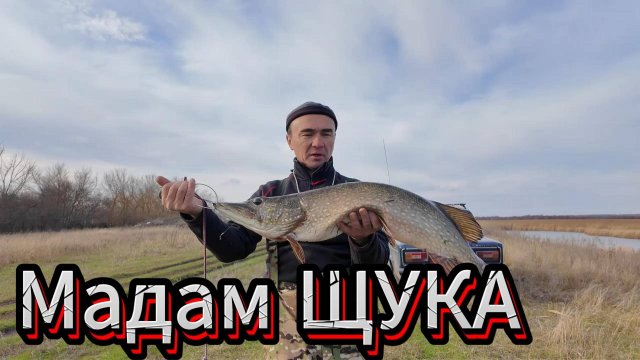 Поймал щуку на живца!