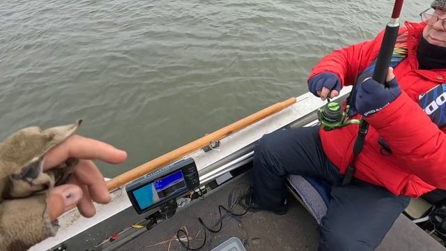 р.Дон, здравствуй Ноябрь!