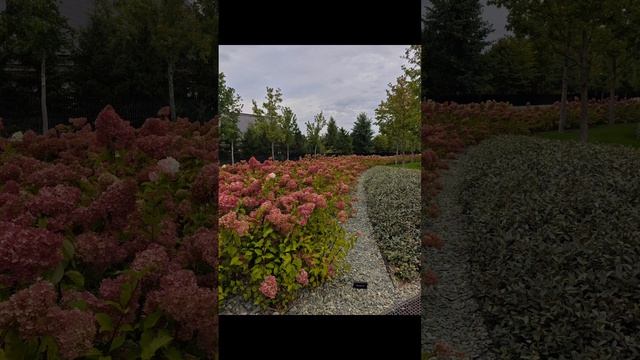 Парк "Краснодар" ( парк Галицкого)