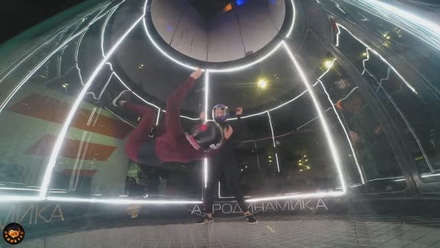 02.11.2025 БАБОЧКА В АЭОТРУБЕ АЭРОДИНАМИКА