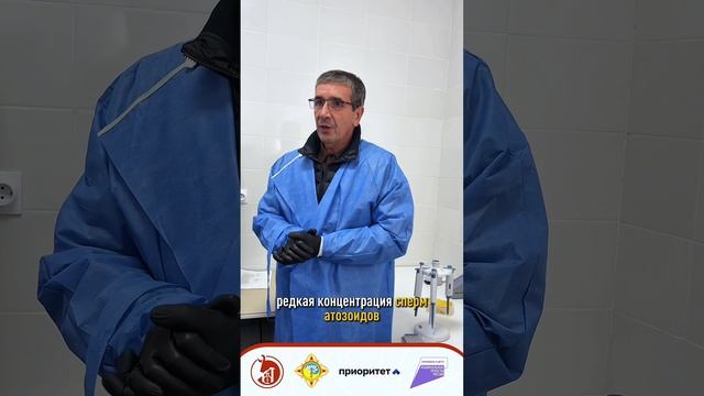 Искусственное осеменение овец МРС КРС Фермерство овцеводство обучение