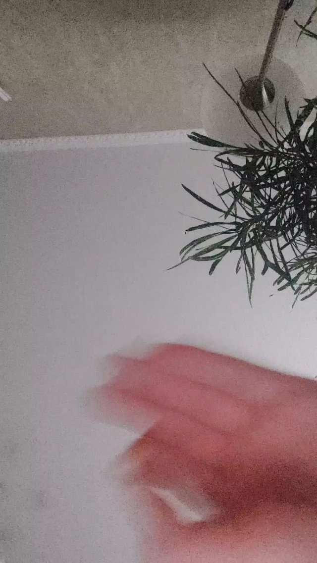 предыдущая трансляция оборвалась, короткая трансляция