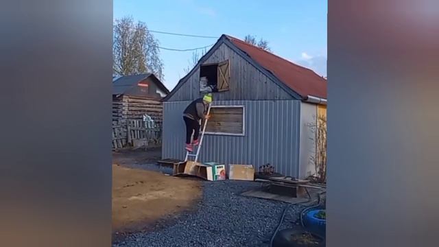 4/11 25 ЮМОР. БАБА ЛЕНА - ФЕНОМЕН 🤣😃😁