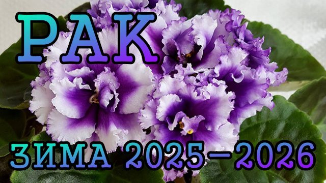 РАК таро прогноз на ЗИМУ 2025-2026 года (декабрь 2025, январь и февраль 2026)