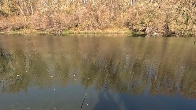 4.11. Отдых на реке Кубань. Анапа.