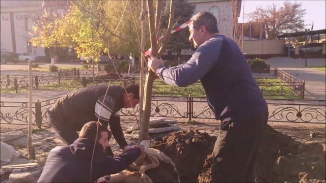 Cубботник по благоустройству и озеленению центральной площади города Невре